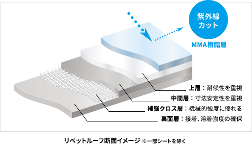 リベットルーフ断面イメージ ※一部シートを除く